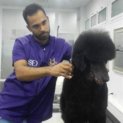 PETS Toelettatura - Salone per cani
