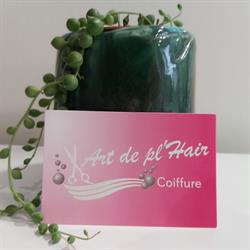 Art de pl'Hair