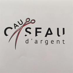Ciseau d'argent