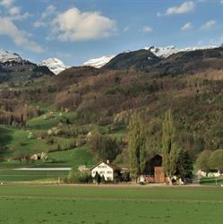 Saxhof