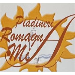 PIADINERIA ROMAGNA MIA