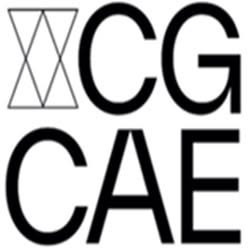 Cg CAE Sagl