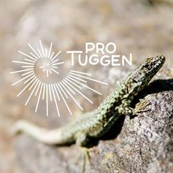 Pro Tuggen