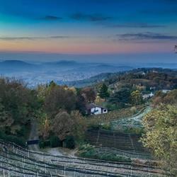 Zafferano Guesthouse