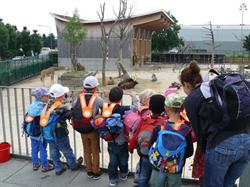 Spielgruppe Dino-Club und Kindergartenvorbereitung