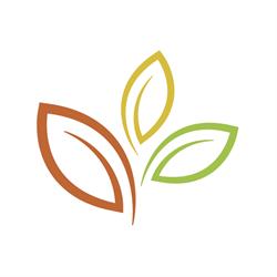 BotaniConcept