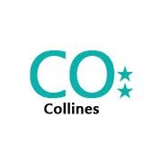 Cycle d'orientation des Collines