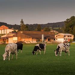 Ferme du Grand-Clos