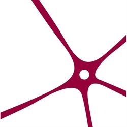CENTRE NEU'RHÔNE SARL