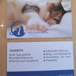 Sandras Katzenpension