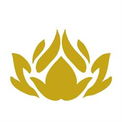 Meditation in Motion