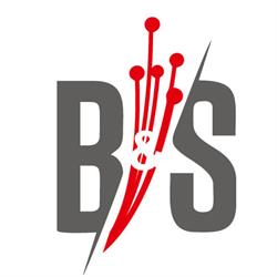 B&S Fibre optique Sàrl