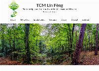 Website von TCM Lín Fèng - Stefanie Kaufmann