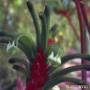 # 30