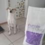 Pet's Planet Gruyère - NUTRI4PATTES - Croquettes Purple pour chiens