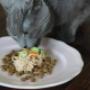 Pet's Planet Gruyère - NUTRI4PATTES - Alimentation pour chats