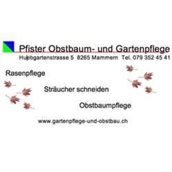 Pfister Obstbaum- und Gartenpflege