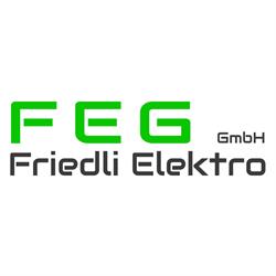 FEG Friedli Elektro GmbH