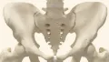 Was ist Craniosacral Therapie?