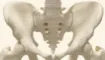sacrum