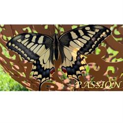 Woll Passion Dutoit
