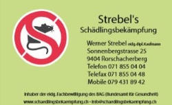 Strebel`s Schädlingsbekämpfung