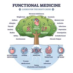 Cabinet Antoine Annen : médecine fonctionnelle - naturopathie - homéopathie - nutrition