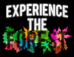 Experience The Forest Inhaber Marco Kuhn