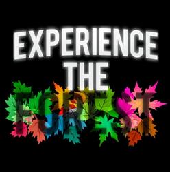 Experience The Forest Inhaber Marco Kuhn