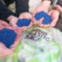 InnoRecycling AG / sammelsack.ch