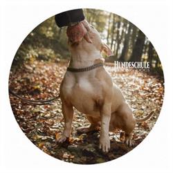 Hundeschule Strong Dog's GmbH