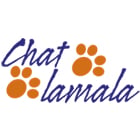 Chat Lamala Peinture Sàrl