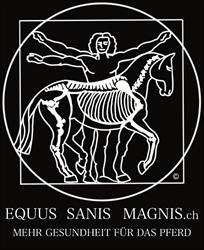 Equus sanis magnis