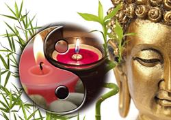 Yan Lin TCM Tuina - Massagen