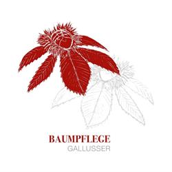 Baumpflege-Gallusser