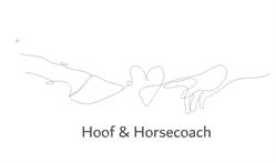 Hoof and Horsecoach Meier