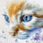 Diamond Painting ist ein tollern Freizeitspass für gross und klein!