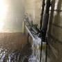 BPM Bulle Trocknung Wasserschaden