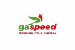 gaspeed