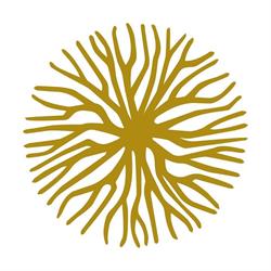 Stammkraft GmbH