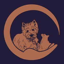 Miss Scully, ANiFiT AG Berater und Animalia AG Tierversicherungen Beratungsstelle