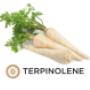 # 11