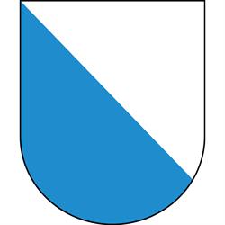 Wespennest entfernen Region Zürich