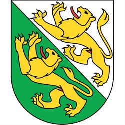 Wespennest entfernen Thurgau
