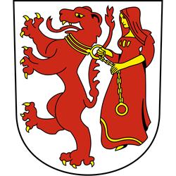 Wespennest entfernen Frauenfeld