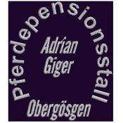 Pferdepensionsstall