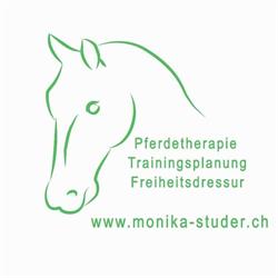 Monika Studer - Pferdetherapie, Trainingsplanung, Freiheitsdressur