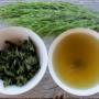 Kräutertee, Zinnkrauttee, Schachtelhalmtee, Heilkräutertee, gesunder Tee, Knochenstärken, Entgiften, Naturheilkunde, Alternative Medizin