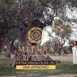 MITERA GmbH