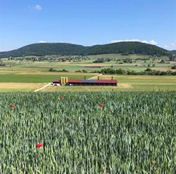 Landwirtschaftsbetrieb Schwaninger